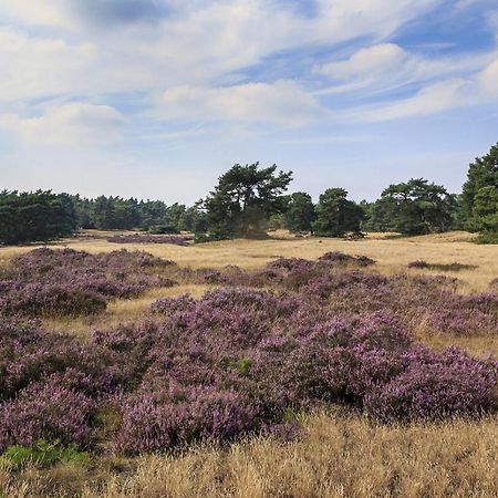Chalet Op De Veluwe # Berk 皮滕 外观 照片