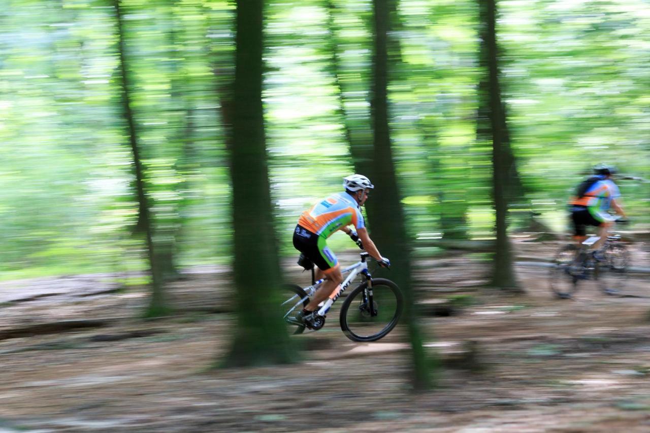 Chalet Op De Veluwe # Berk 皮滕 外观 照片