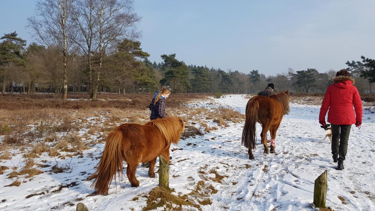 Chalet Op De Veluwe # Berk 皮滕 外观 照片