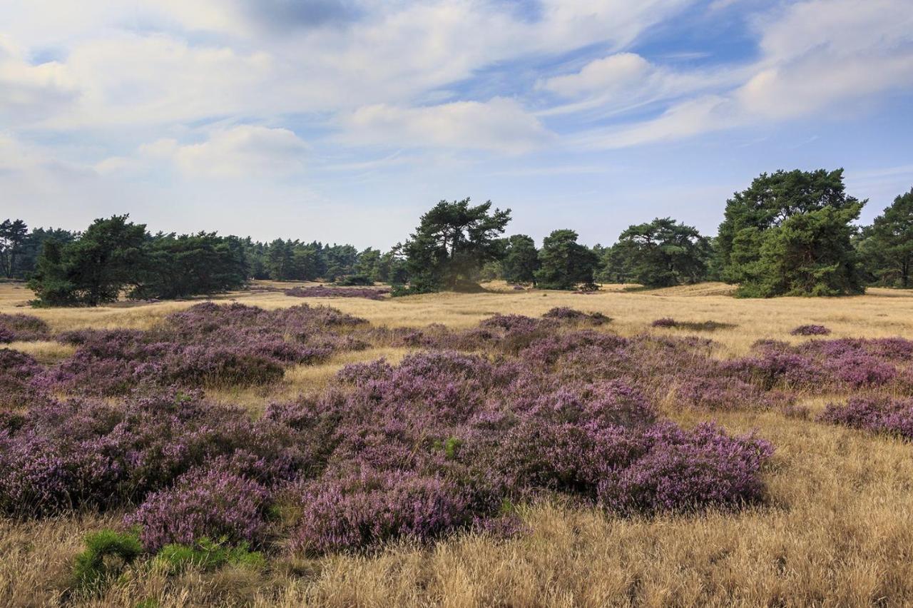 Chalet Op De Veluwe # Berk 皮滕 外观 照片