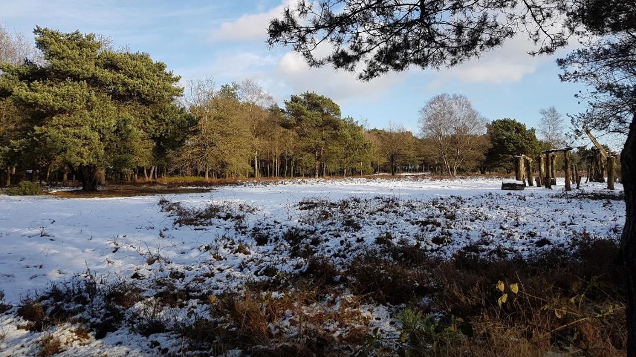 Chalet Op De Veluwe # Berk 皮滕 外观 照片