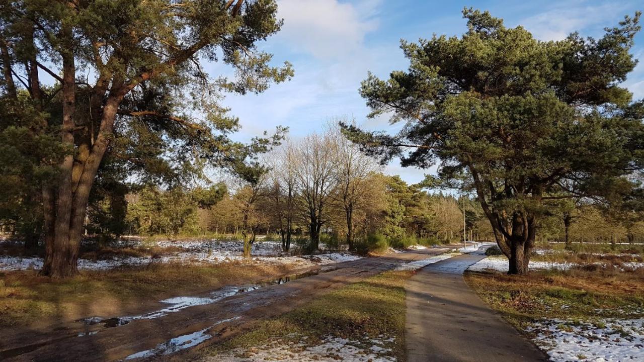 Chalet Op De Veluwe # Berk 皮滕 外观 照片